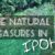 The Natural Treasures in Ipoh